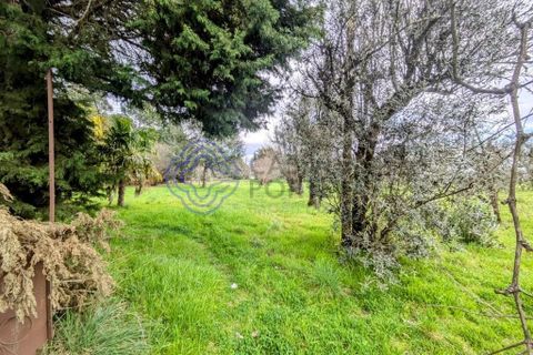 Helårsgrund i Viseu, Viseu, Viseu - € 200.000 | Ref: 199251 - foto 6