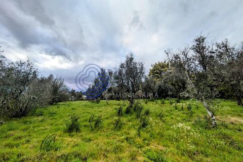 Helårsgrund i Viseu, Viseu, Viseu - € 200.000 | Ref: 199251 - foto 7