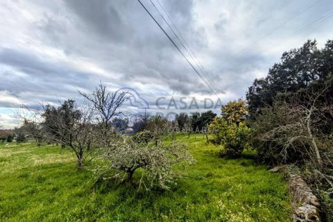 Helårsgrund i Viseu, Viseu, Viseu - € 200.000 | Ref: 199251 - foto 11
