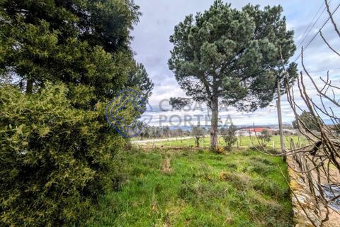 Helårsgrund i Viseu, Viseu, Viseu - € 200.000 | Ref: 199251 - foto 12