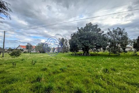 Helårsgrund i Viseu, Viseu, Viseu - € 200.000 | Ref: 199251 - foto 14