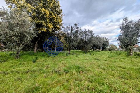 Helårsgrund i Viseu, Viseu, Viseu - € 200.000 | Ref: 199251 - foto 16