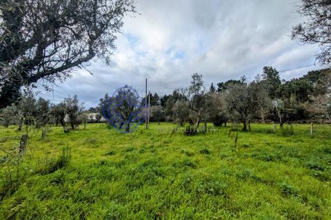 Helårsgrund i Viseu, Viseu, Viseu - € 200.000 | Ref: 199251 - foto 17