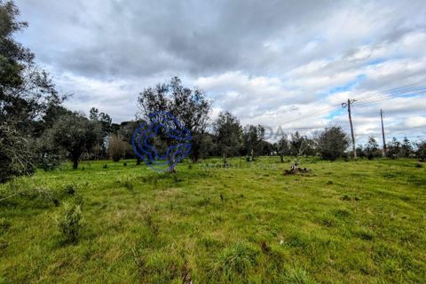 Helårsgrund i Viseu, Viseu, Viseu - € 200.000 | Ref: 199251 - foto 19
