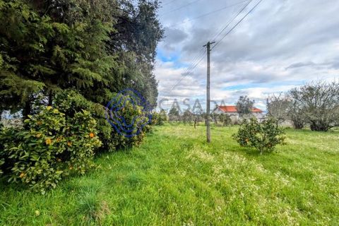 Helårsgrund i Viseu, Viseu, Viseu - € 200.000 | Ref: 199251 - foto 20