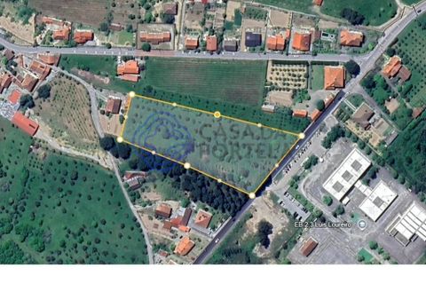 Helårsgrund i Viseu, Viseu, Viseu - € 200.000 | Ref: 199251 - foto 25