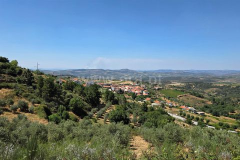 Erhvervsejendom i Meda, Guarda, Meda - € 165.000 | Ref: 046250102 - foto 3