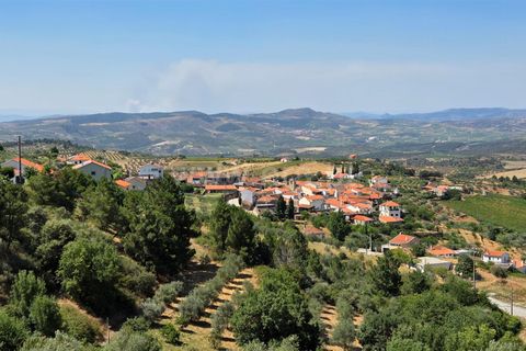 Erhvervsejendom i Meda, Guarda, Meda - € 165.000 | Ref: 046250102 - foto 4