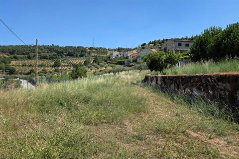 Erhvervsejendom i Meda, Guarda, Meda - € 165.000 | Ref: 046250102 - foto 6