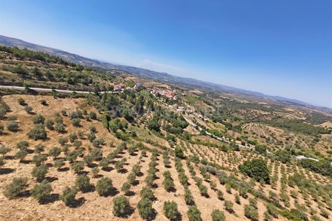 Erhvervsejendom i Meda, Guarda, Meda - € 165.000 | Ref: 046250102 - foto 19