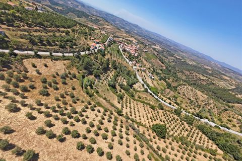 Erhvervsejendom i Meda, Guarda, Meda - € 165.000 | Ref: 046250102 - foto 20