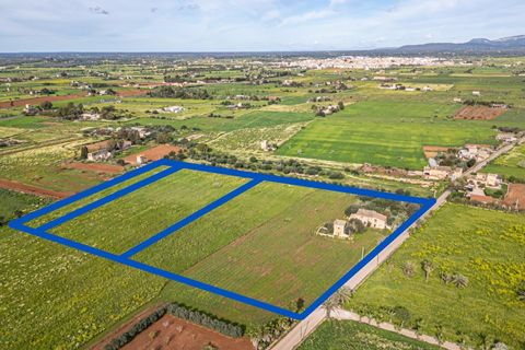 Terreno en Campos, Mallorca, Campos - € 499.900 | Ref: 05MLEV013/3010 - photo 1