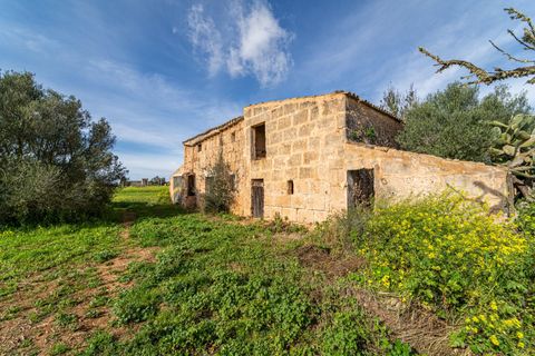 Terreno en Campos, Mallorca, Campos - € 499.900 | Ref: 05MLEV013/3010 - photo 2