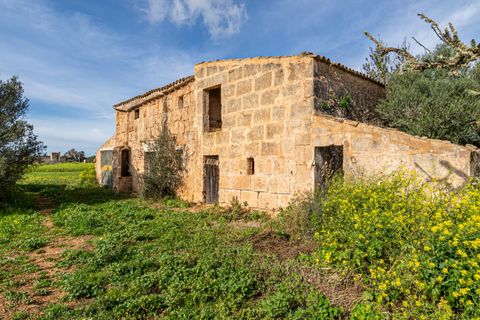 Terreno en Campos, Mallorca, Campos - € 499.900 | Ref: 05MLEV013/3010 - photo 3