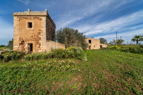 Terreno en Campos, Mallorca, Campos - € 499.900 | Ref: 05MLEV013/3010 - photo 4