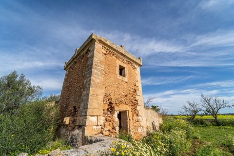 Terreno en Campos, Mallorca, Campos - € 499.900 | Ref: 05MLEV013/3010 - photo 5