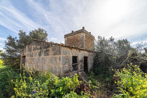 Terreno en Campos, Mallorca, Campos - € 499.900 | Ref: 05MLEV013/3010 - photo 6