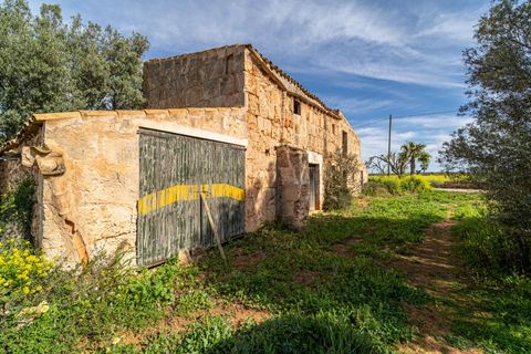 Terreno en Campos, Mallorca, Campos - € 499.900 | Ref: 05MLEV013/3010 - photo 7