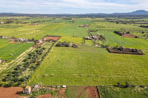 Terreno en Campos, Mallorca, Campos - € 499.900 | Ref: 05MLEV013/3010 - photo 10