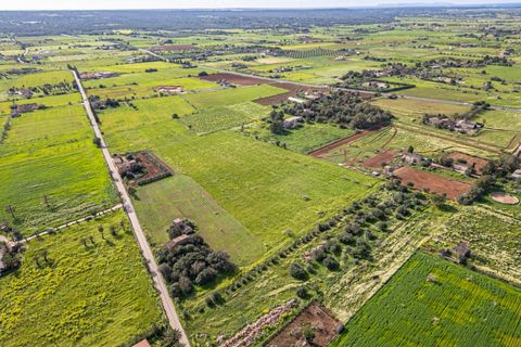 Terreno en Campos, Mallorca, Campos - € 499.900 | Ref: 05MLEV013/3010 - photo 13