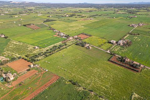 Terreno en Campos, Mallorca, Campos - € 499.900 | Ref: 05MLEV013/3010 - photo 17
