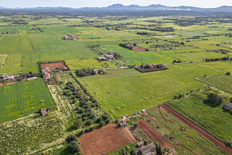 Terreno en Campos, Mallorca, Campos - € 499.900 | Ref: 05MLEV013/3010 - photo 18