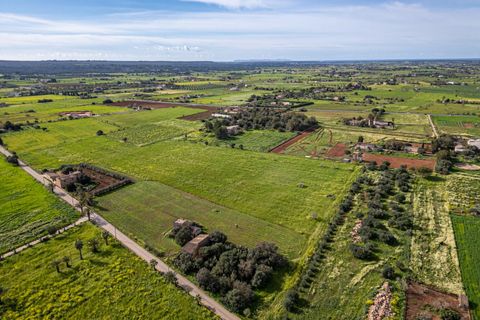 Terreno en Campos, Mallorca, Campos - € 499.900 | Ref: 05MLEV013/3010 - photo 19