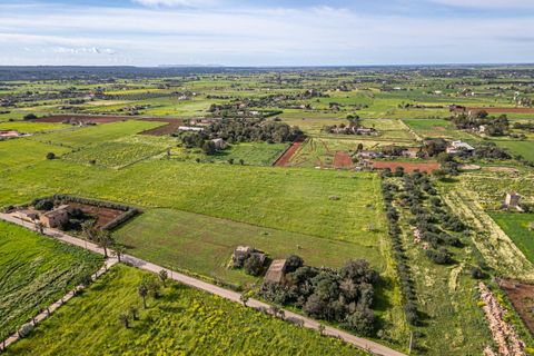 Terreno en Campos, Mallorca, Campos - € 499.900 | Ref: 05MLEV013/3010 - photo 20