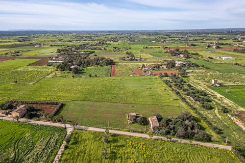 Terreno en Campos, Mallorca, Campos - € 499.900 | Ref: 05MLEV013/3010 - photo 21