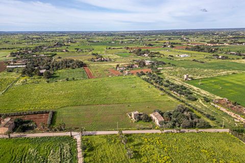 Terreno en Campos, Mallorca, Campos - € 499.900 | Ref: 05MLEV013/3010 - photo 22