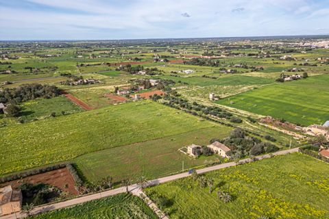 Terreno en Campos, Mallorca, Campos - € 499.900 | Ref: 05MLEV013/3010 - photo 23