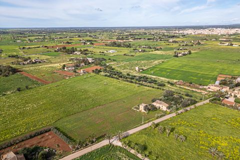 Terreno en Campos, Mallorca, Campos - € 499.900 | Ref: 05MLEV013/3010 - photo 24