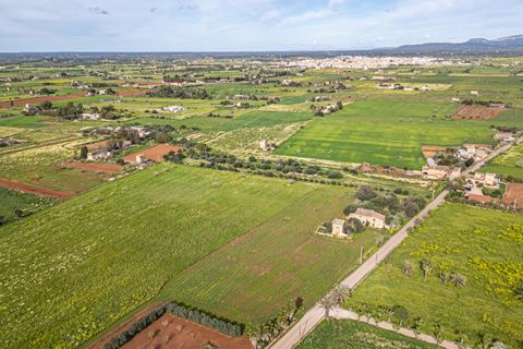 Terreno en Campos, Mallorca, Campos - € 499.900 | Ref: 05MLEV013/3010 - photo 25