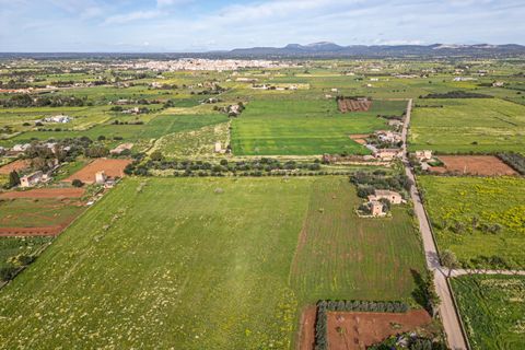 Terreno en Campos, Mallorca, Campos - € 499.900 | Ref: 05MLEV013/3010 - photo 26