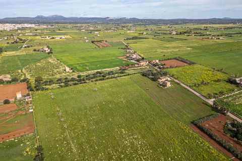 Terreno en Campos, Mallorca, Campos - € 499.900 | Ref: 05MLEV013/3010 - photo 27