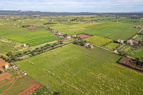Terreno en Campos, Mallorca, Campos - € 499.900 | Ref: 05MLEV013/3010 - photo 28
