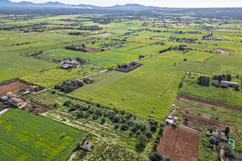 Terreno en Campos, Mallorca, Campos - € 499.900 | Ref: 05MLEV013/3010 - photo 29