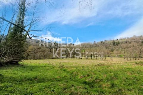Landejendom i Castres, Tarn, Castres - € 1.380.000 | Ref: 6774231 - foto 4
