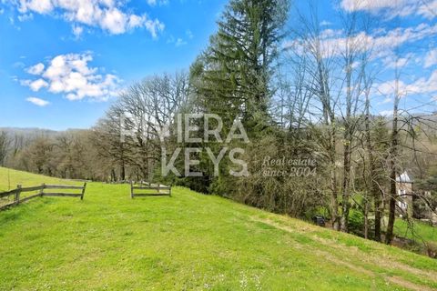 Landejendom i Castres, Tarn, Castres - € 1.380.000 | Ref: 6774231 - foto 5