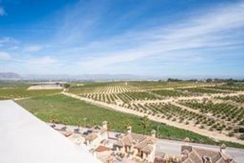 Villa i Algorfa, Alicante, Algorfa - € 520.000 | Ref: LUX0023 - foto 38