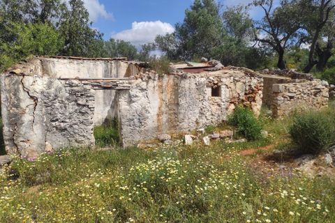 Helårsgrund i Faro, Faro, Faro - € 140.000 | Ref: 014250066 - foto 4