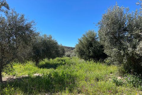 Terra a Sorbas, Almeria, Sorbas - € 85.000 | Ref: SOR127 - foto 6