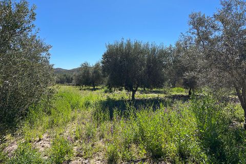 Terra a Sorbas, Almeria, Sorbas - € 85.000 | Ref: SOR127 - foto 7