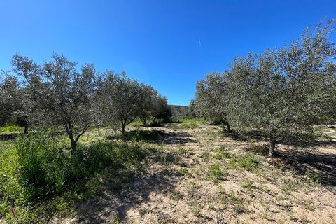 Terra a Sorbas, Almeria, Sorbas - € 85.000 | Ref: SOR127 - foto 8