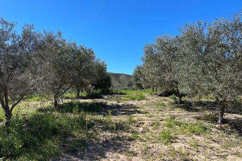 Terra a Sorbas, Almeria, Sorbas - € 85.000 | Ref: SOR127 - foto 9