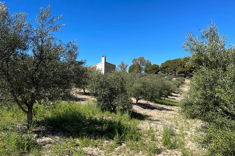 Terra a Sorbas, Almeria, Sorbas - € 85.000 | Ref: SOR127 - foto 10