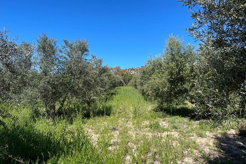 Terra a Sorbas, Almeria, Sorbas - € 85.000 | Ref: SOR127 - foto 11