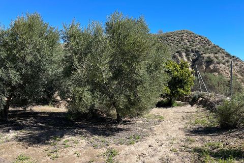 Terra a Sorbas, Almeria, Sorbas - € 85.000 | Ref: SOR127 - foto 12