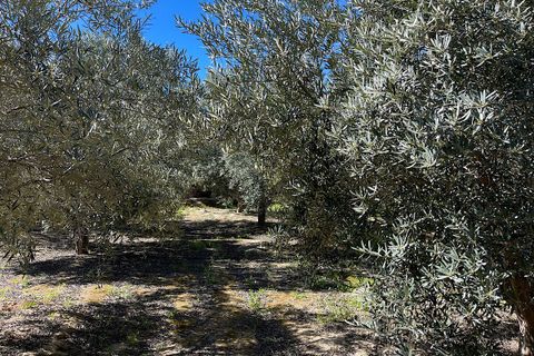 Terra a Sorbas, Almeria, Sorbas - € 85.000 | Ref: SOR127 - foto 13