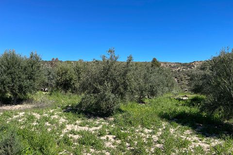 Terra a Sorbas, Almeria, Sorbas - € 85.000 | Ref: SOR127 - foto 14